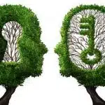 Comment présenter le Tarot aux personnes sceptiques ? 4 prendre une décision