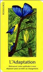 adaptation-lumiere l'adaptation