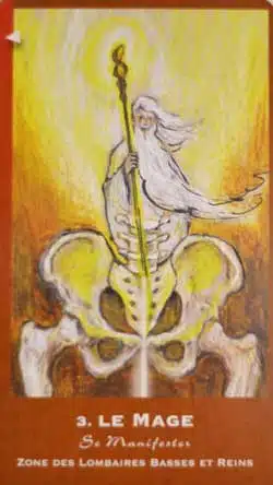 le-mage cartes du corps