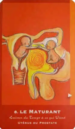maturant cartes du corps