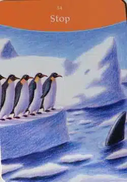 stop la réponse est simple