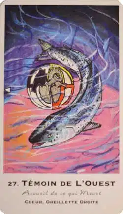 temoin témoin du nord