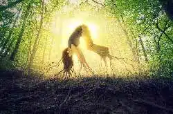 Relation karmique : comment la reconnaître et ce que le Tarot peut en révéler 1 relation karmique et tarot