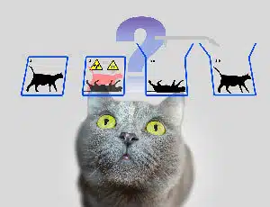 D’où viennent les prédictions du Tarot ? Comment en tirer profit ? 4 changer de vie avec le tarot