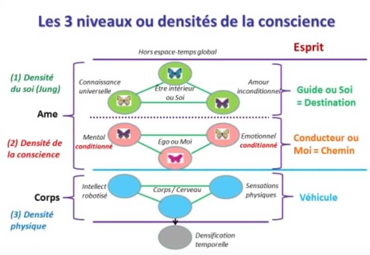 4 façons d'utiliser le tarot pour réaliser vos intentions les plus élevées 2 utiliser le tarot pour réaliser vos intentions