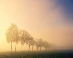 6 idées d’activités avec le Tarot quotidiennes 1 activités avec le tarot