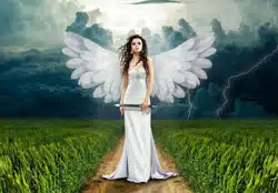 Quelle est l'année du Jugement ? 1 année du jugement