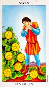 7-pentacles 7 of pentacles - rider
