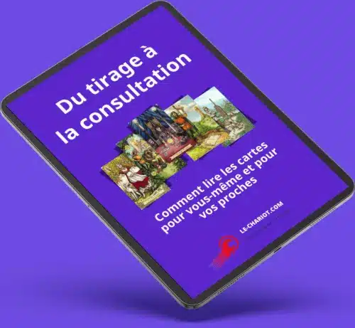 lecture-consultation de la lecture à la consultation